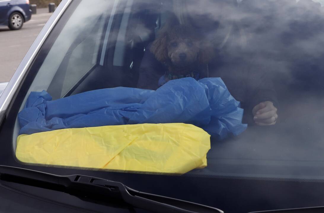 Kauniečiai siunčia humanitarinę pagalbą