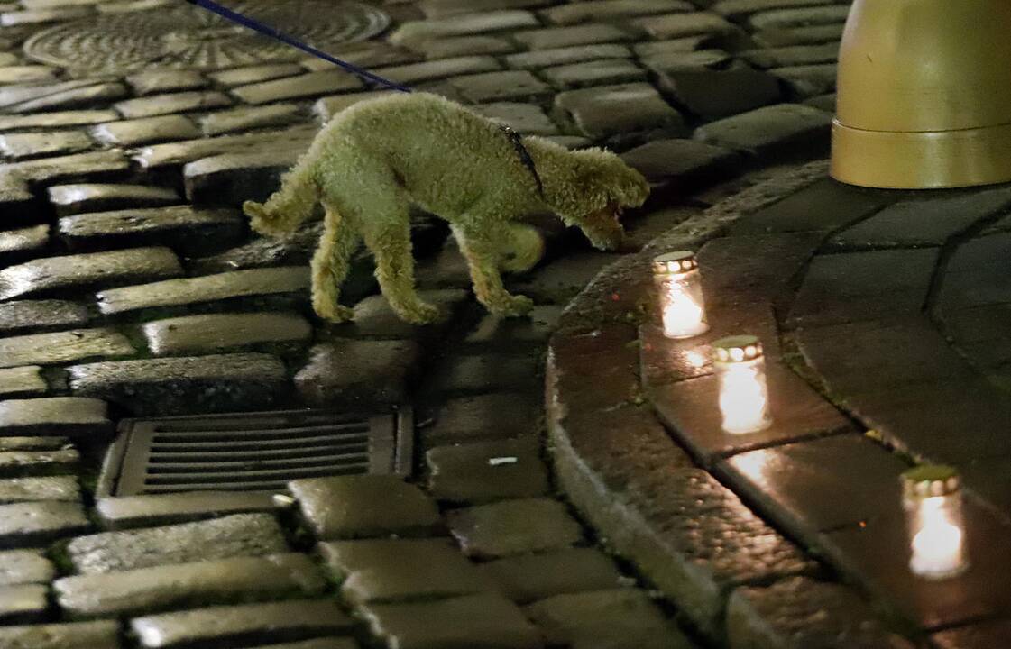 Kauno senamiestį užtvindė „Sielų upė“ (2019)
