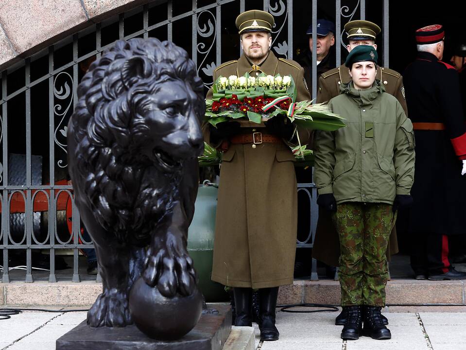 Lietuvos kariuomenės diena Kaune