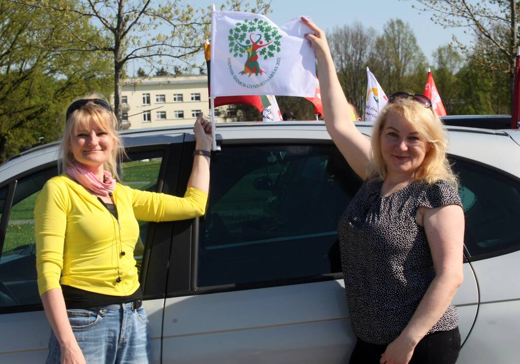 „Didžiojo šeimos gynimo maršo“ dalyvių pasiruošimas Akademijoje