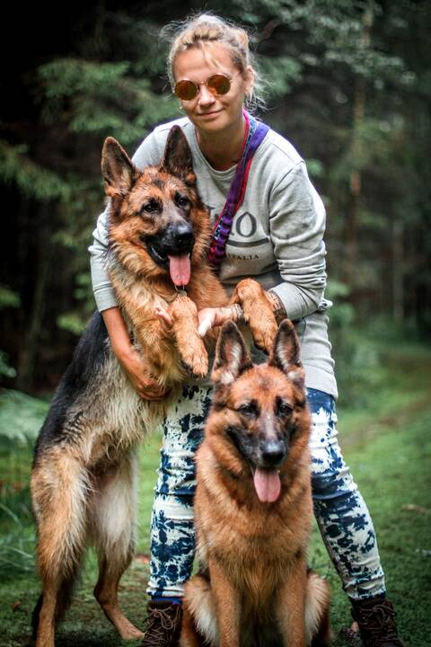 Virsmas: nuo mirties išgelbėtas broileriukas tapo namine, dresuota ir mylima višta Gulbe, kuri nori žmonių dėmesio ir greitai mokosi. 