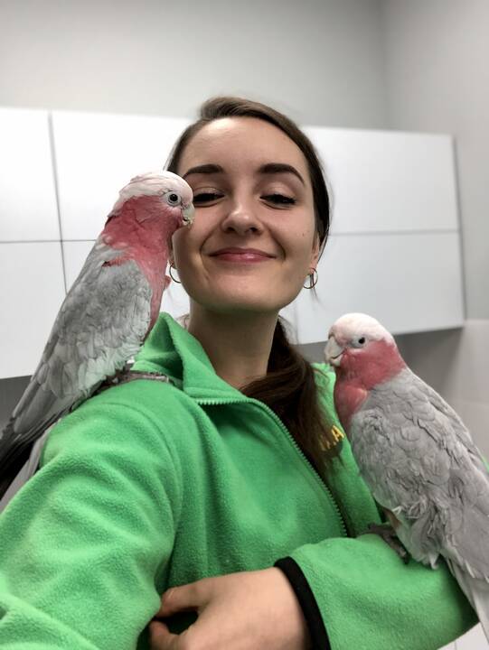 Globa: I.Plungytės būstas – tikri veterinaro namai.