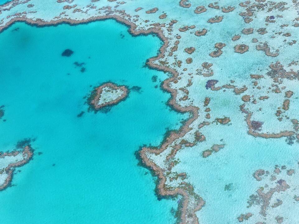 Tuvalu ministras: labiausiai teršiančios šalys turi padengti klimato kaitos išlaidas