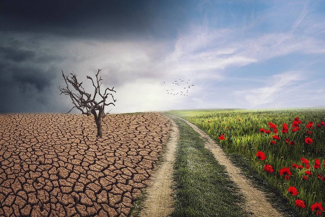 Raudonasis Kryžius: klimato kaita yra didesnė grėsmė nei koronavirusas