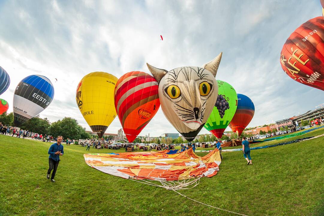 100 oro balionų fiesta „Su laisvės vėju“