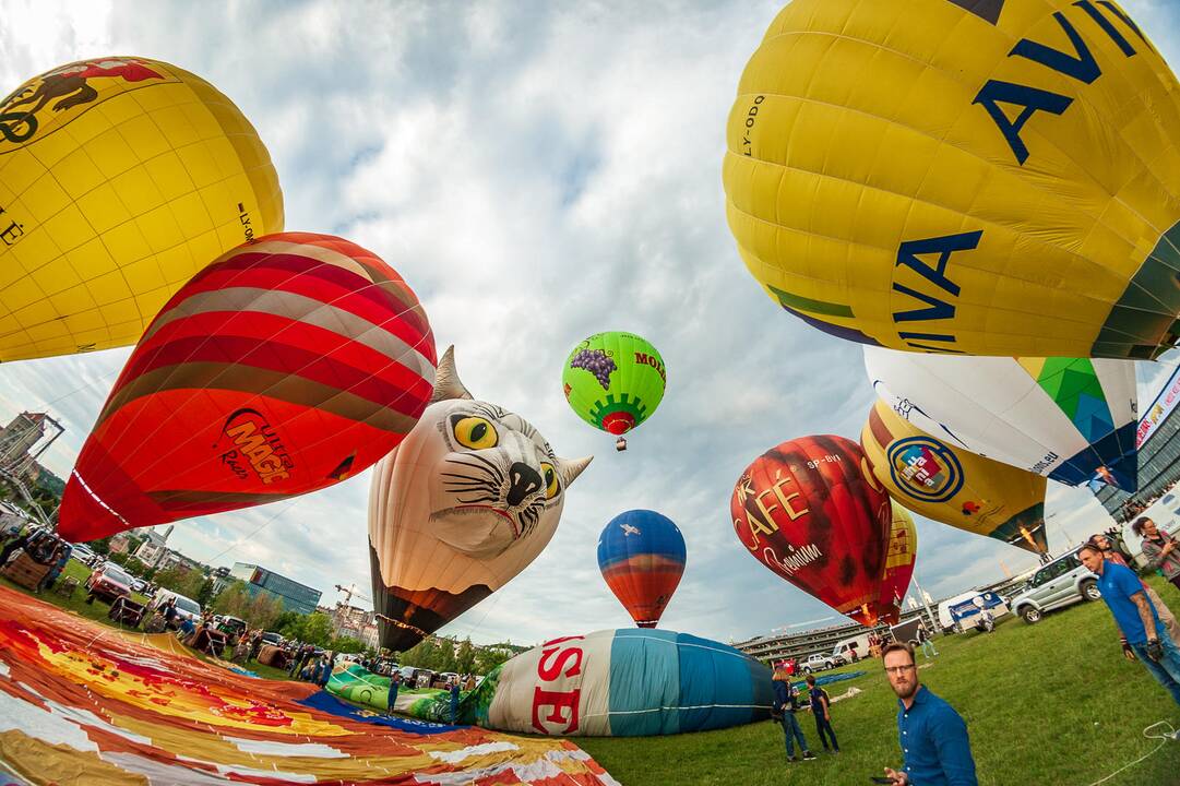 100 oro balionų fiesta „Su laisvės vėju“