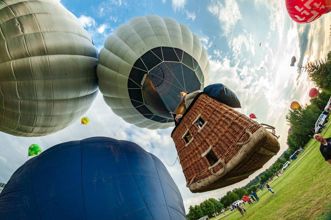 100 oro balionų fiesta „Su laisvės vėju“
