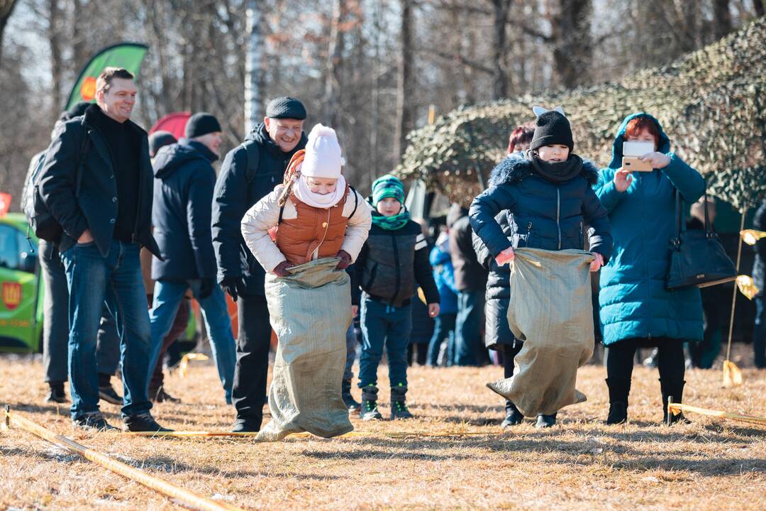 Užgavėnės Lietuvos liaudies buities muziejuje Rumšiškėse