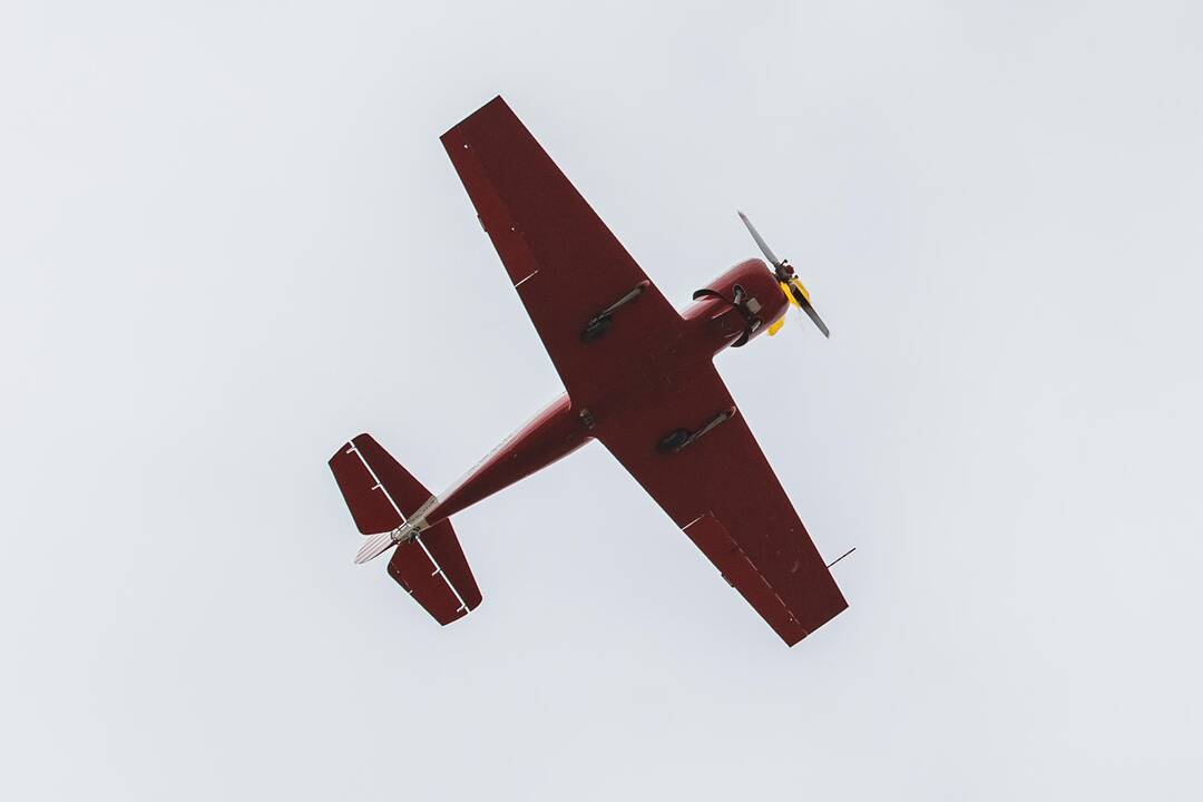 Aviacijos šventė S. Dariaus ir S. Girėno aerodrome (2019)