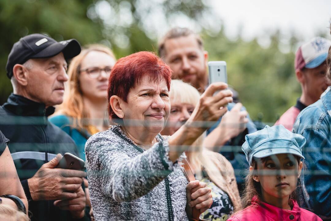 Liūtų diena zoologijos sode