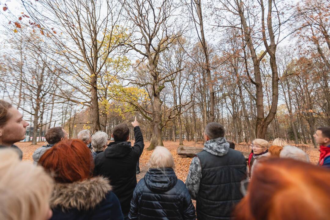 Ąžuolyno gamtotvarkos darbų pristatymas