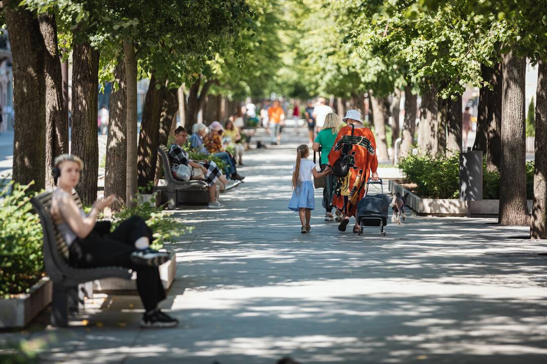 Savaitgalis Laisvės Alėjoje