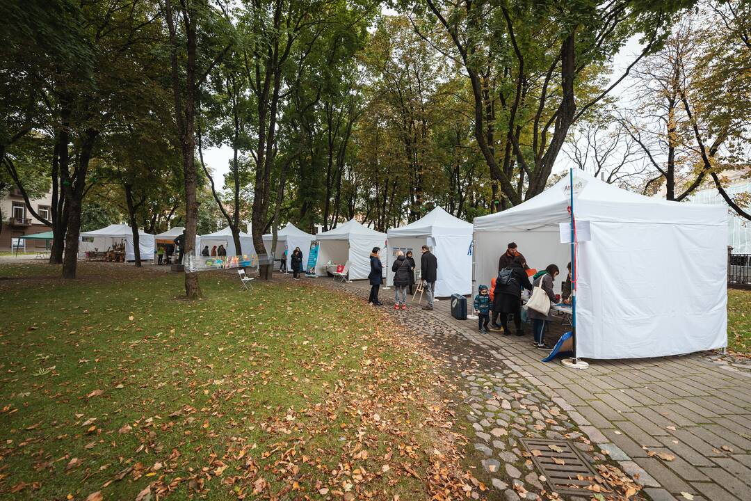 Tautinių bendrijų festivalis Kaune "Kultūrų sodas"