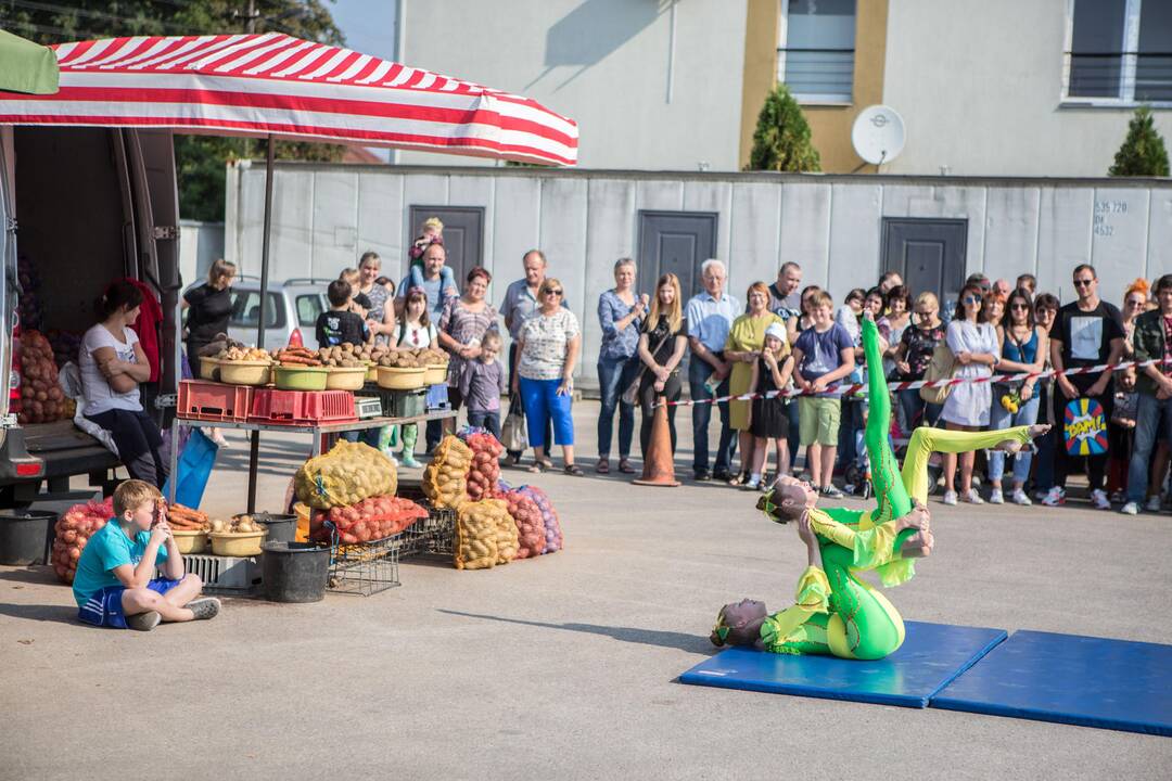 Turgaus teatro festivalis