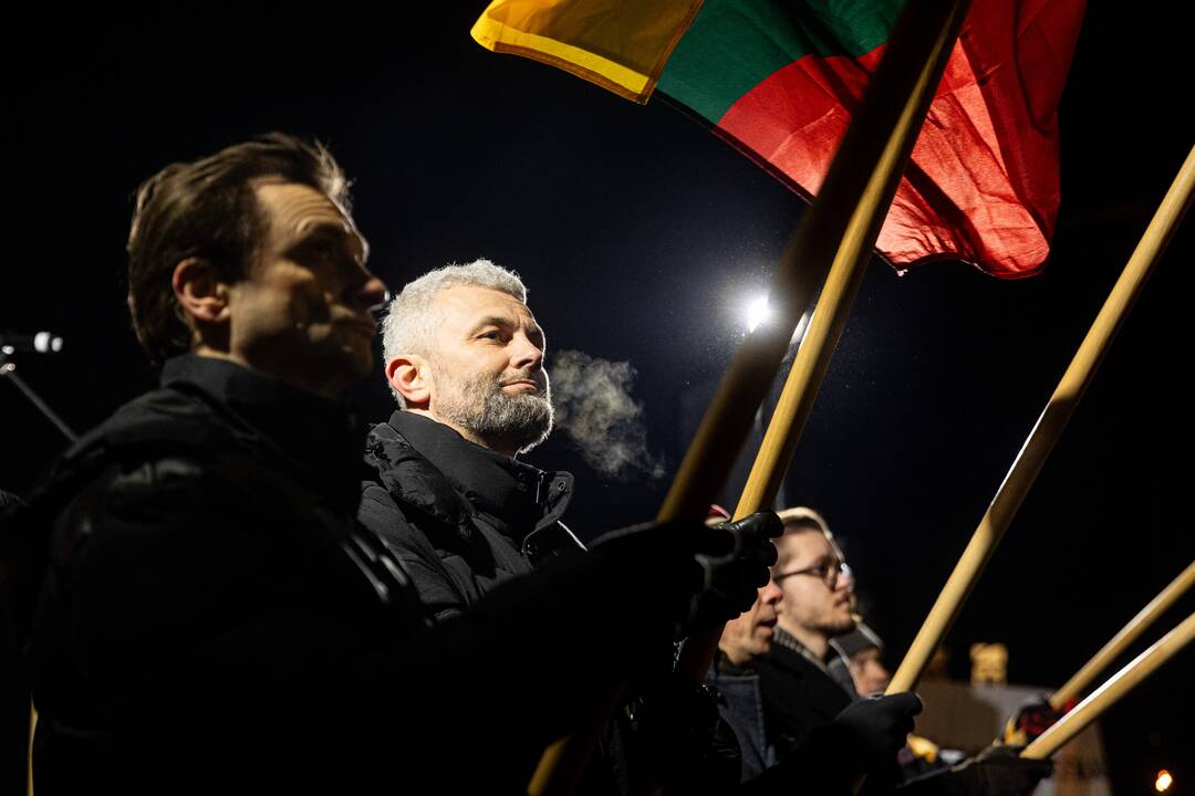 „Pro Patria“ eitynės Vilniuje