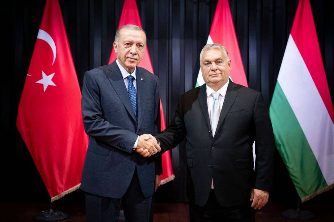 R. T. Erdoganas (kairėje) ir V. Orbanas (dešinėje).