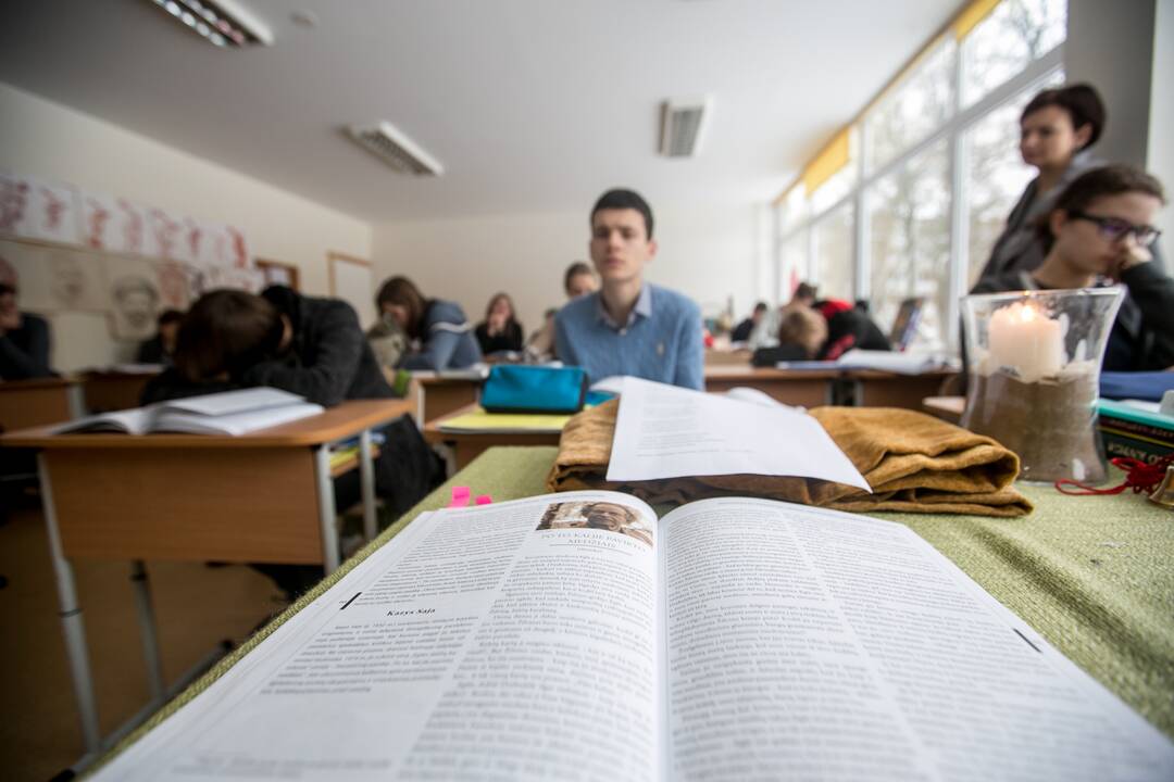 Vaizdas: jei būtų vertinami tik didžiųjų miestų lietuviškų mokyklų rezultatai, būtume ne tarp vidutiniokų – lenktume EBPO šalių vidurkį. Tačiau švietimo ir socialiniai skirtumai išlieka didžiuliai.