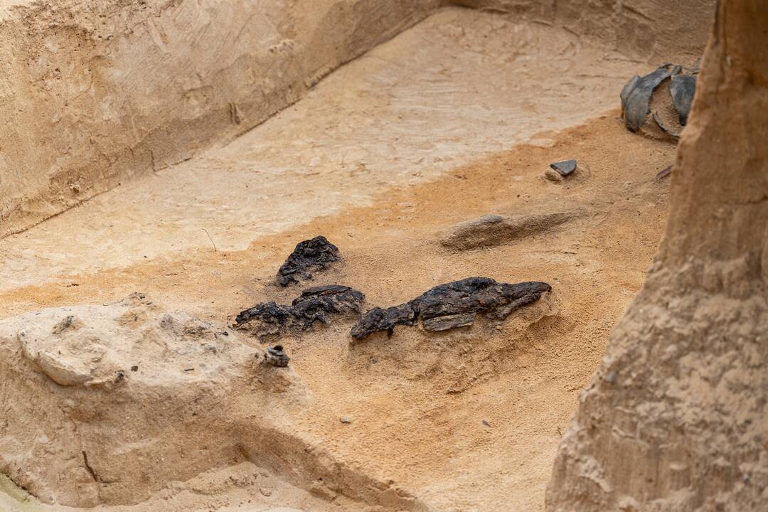 Verkių dvarvietėje pristatomas archeologinis atradimas