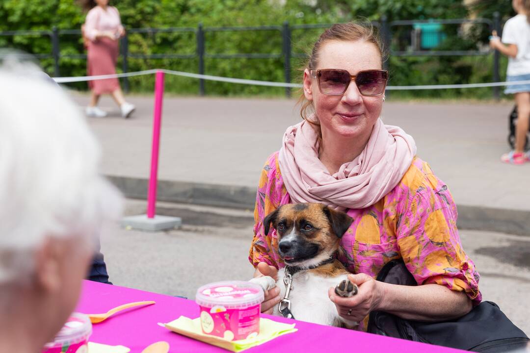 Šaltibarščių festivalis Vilniuje