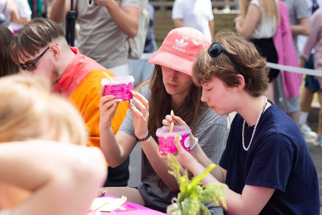 Šaltibarščių festivalis Vilniuje