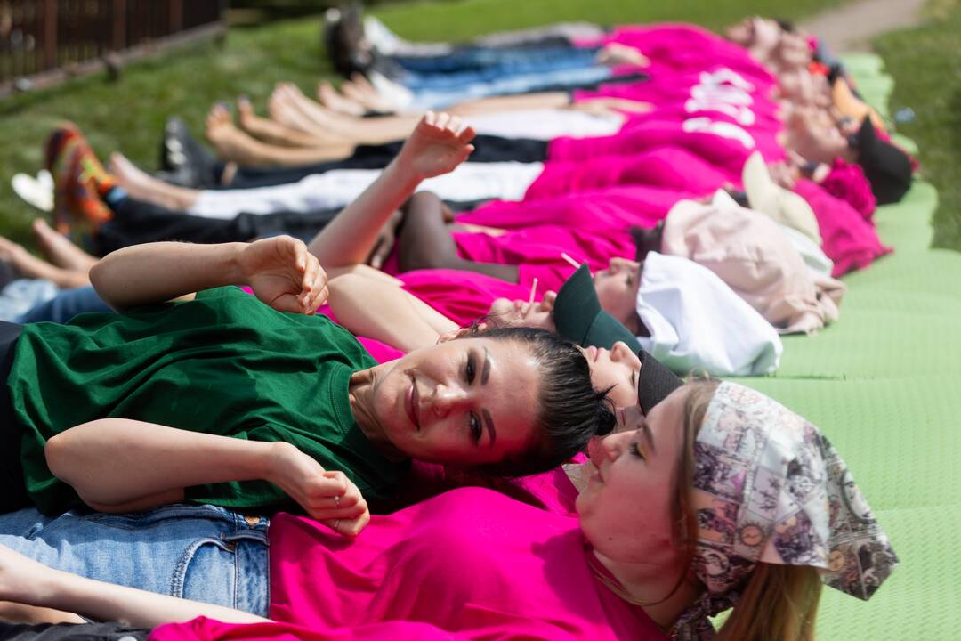 Šaltibarščių festivalis Vilniuje