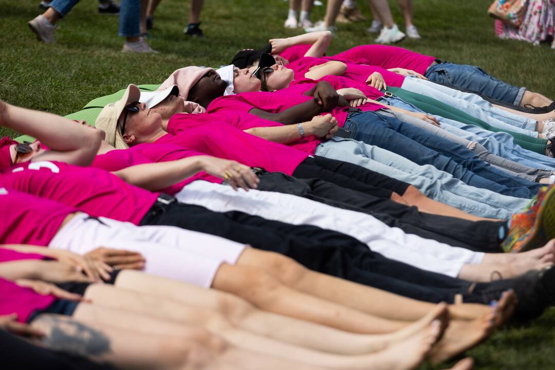 Šaltibarščių festivalis Vilniuje