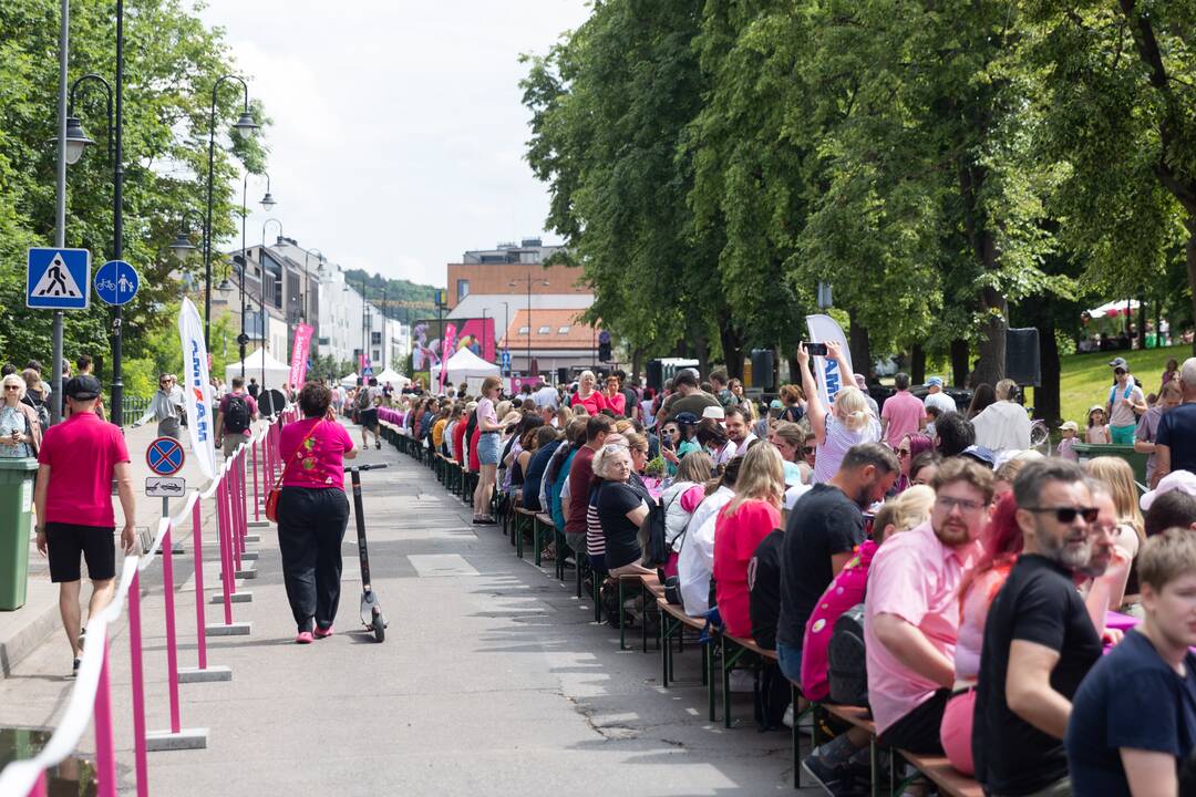 Šaltibarščių festivalis Vilniuje