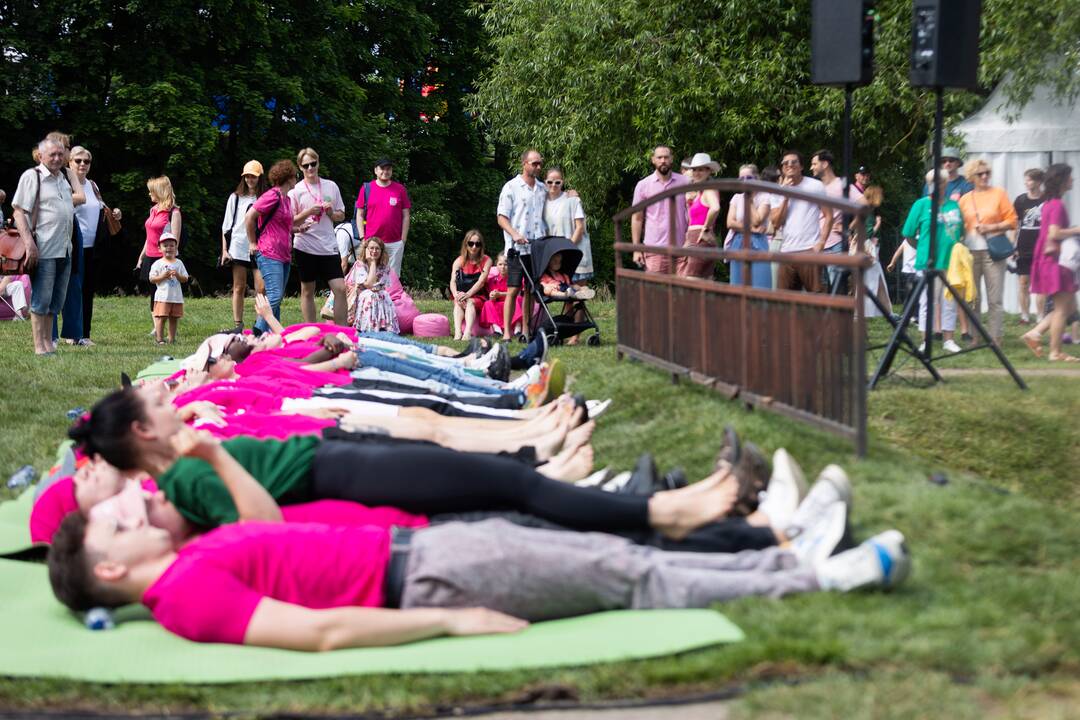 Šaltibarščių festivalis Vilniuje