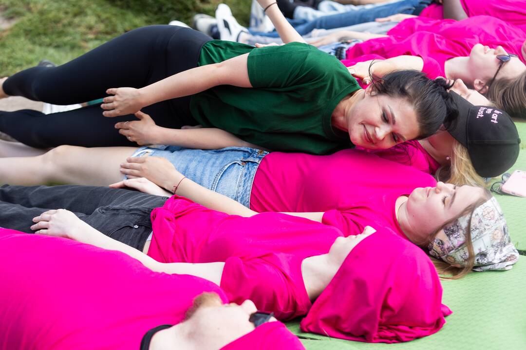 Šaltibarščių festivalis Vilniuje