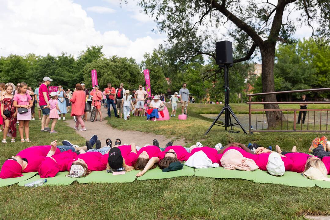 Šaltibarščių festivalis Vilniuje