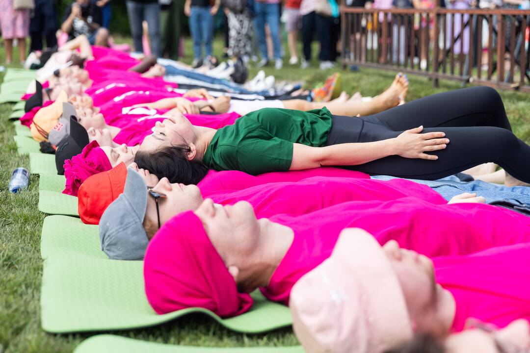 Šaltibarščių festivalis Vilniuje