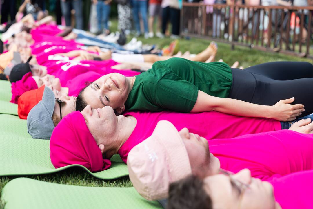 Šaltibarščių festivalis Vilniuje