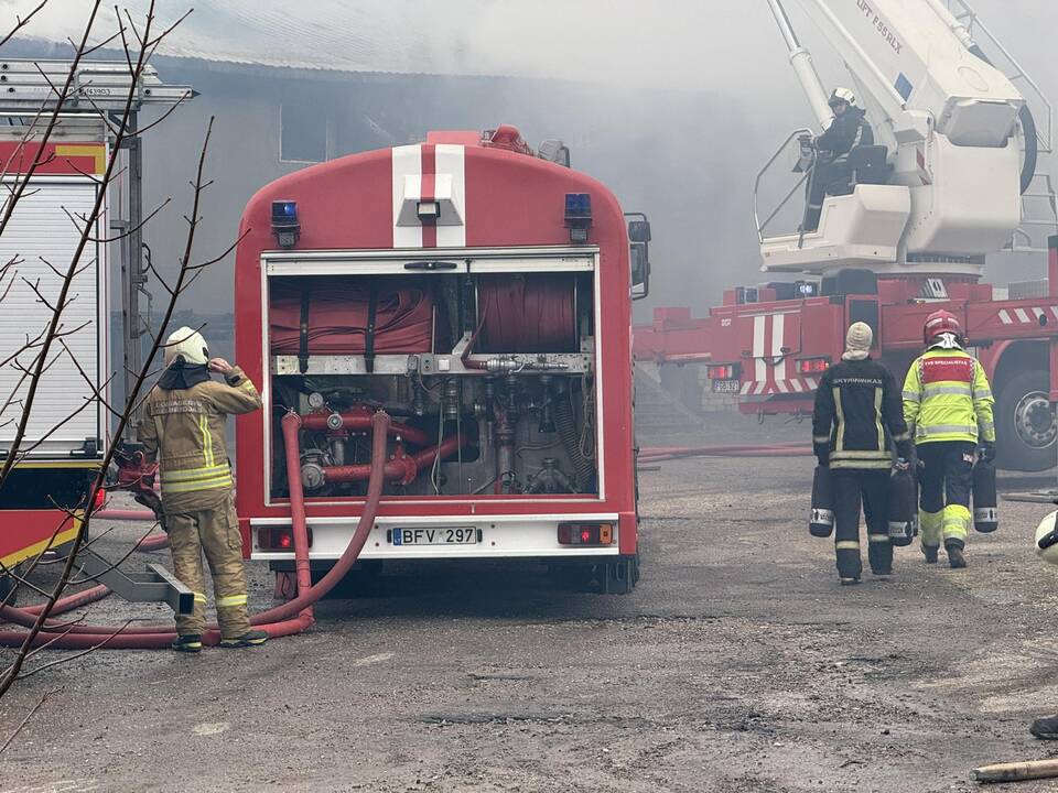 Klaipėdos rajone užsiliepsnojo medžio apdirbimo įmonė