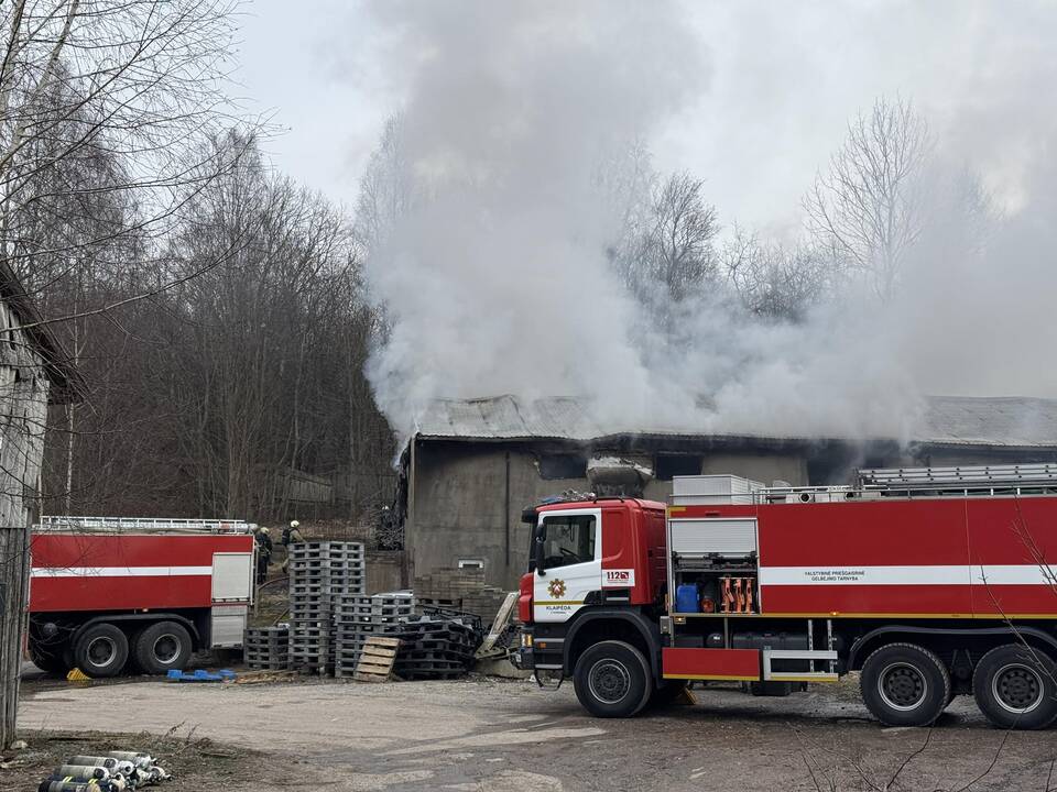 Klaipėdos rajone užsiliepsnojo medžio apdirbimo įmonė