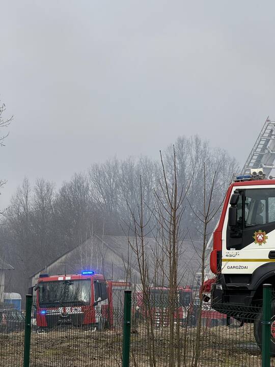 Klaipėdos rajone užsiliepsnojo medžio apdirbimo įmonė