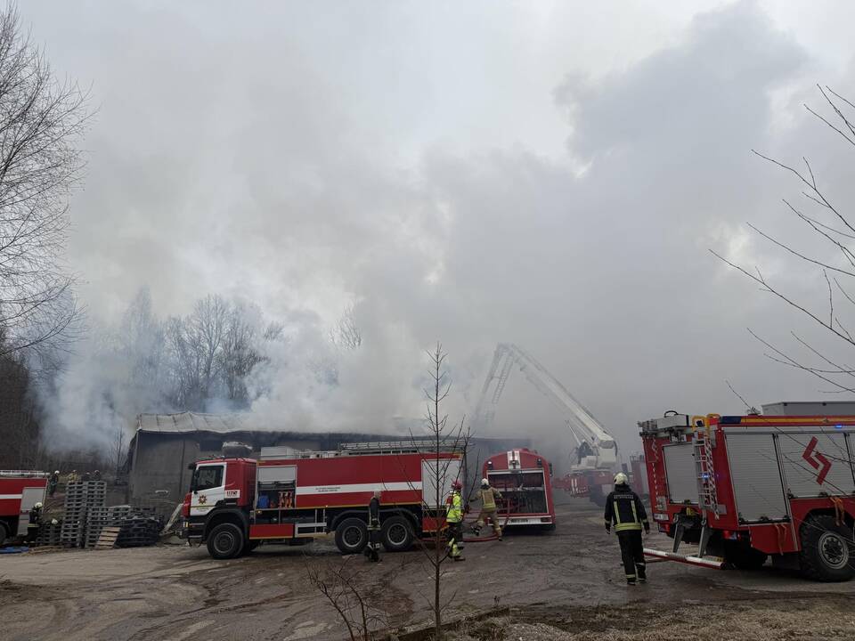 Klaipėdos rajone užsiliepsnojo medžio apdirbimo įmonė