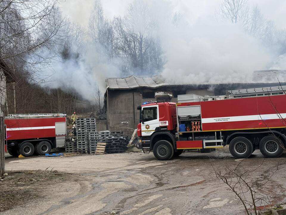 Klaipėdos rajone užsiliepsnojo medžio apdirbimo įmonė