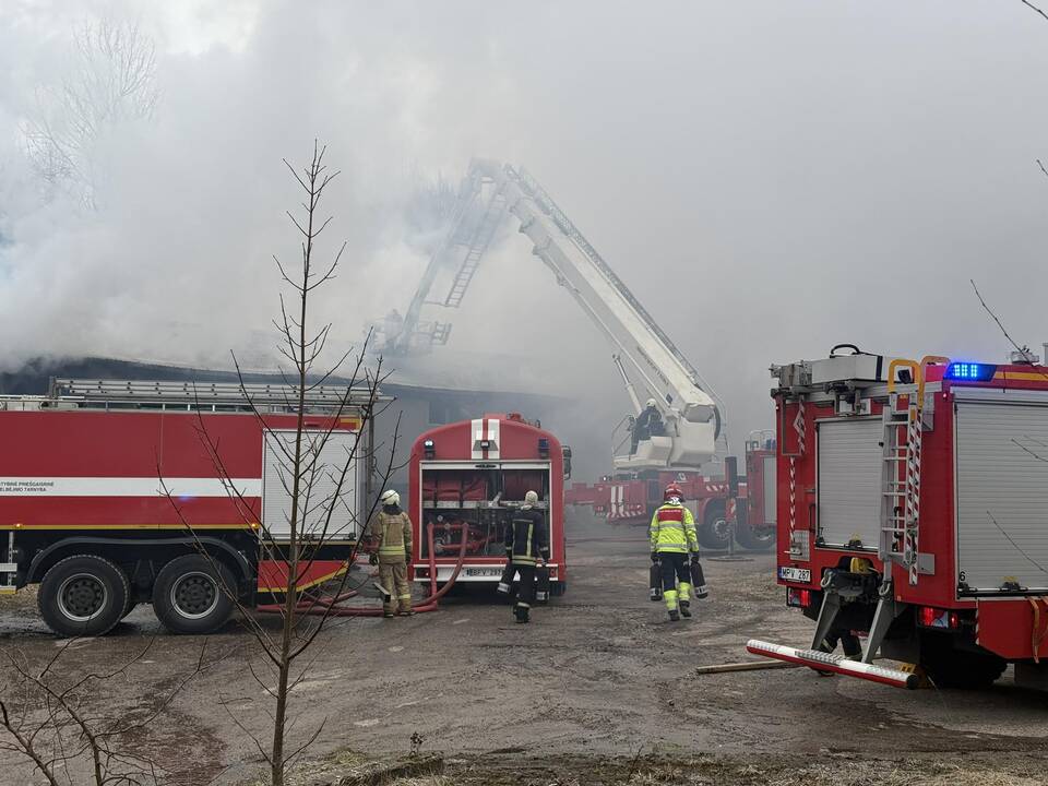 Klaipėdos rajone užsiliepsnojo medžio apdirbimo įmonė