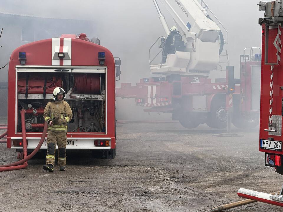 Klaipėdos rajone užsiliepsnojo medžio apdirbimo įmonė