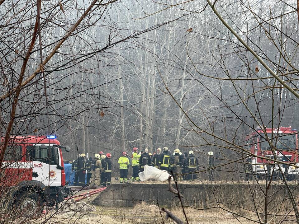 Klaipėdos rajone užsiliepsnojo medžio apdirbimo įmonė
