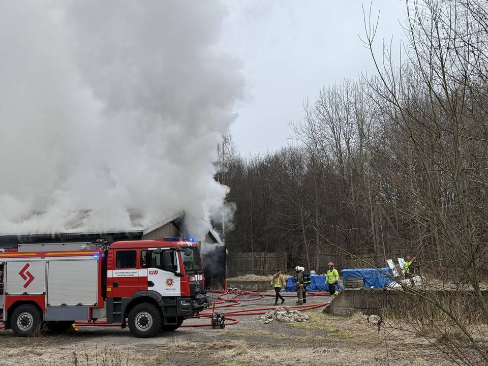 Klaipėdos rajone užsiliepsnojo medžio apdirbimo įmonė