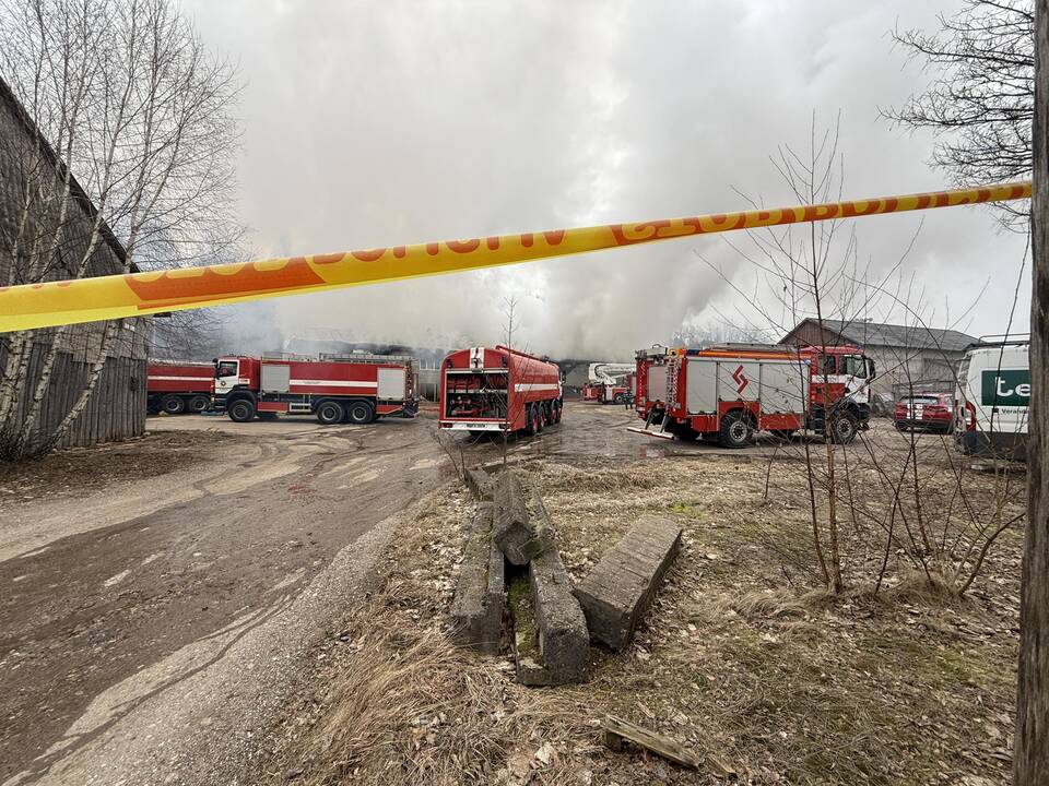 Klaipėdos rajone užsiliepsnojo medžio apdirbimo įmonė