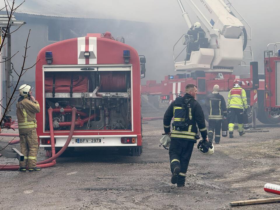 Klaipėdos rajone užsiliepsnojo medžio apdirbimo įmonė