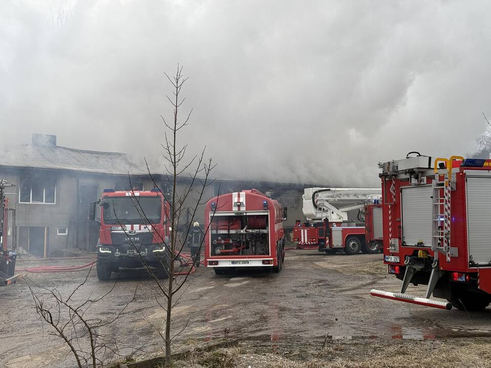 Klaipėdos rajone užsiliepsnojo medžio apdirbimo įmonė