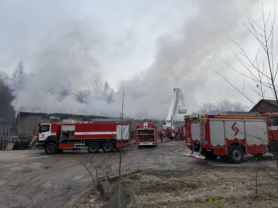 Klaipėdos rajone užsiliepsnojo medžio apdirbimo įmonė