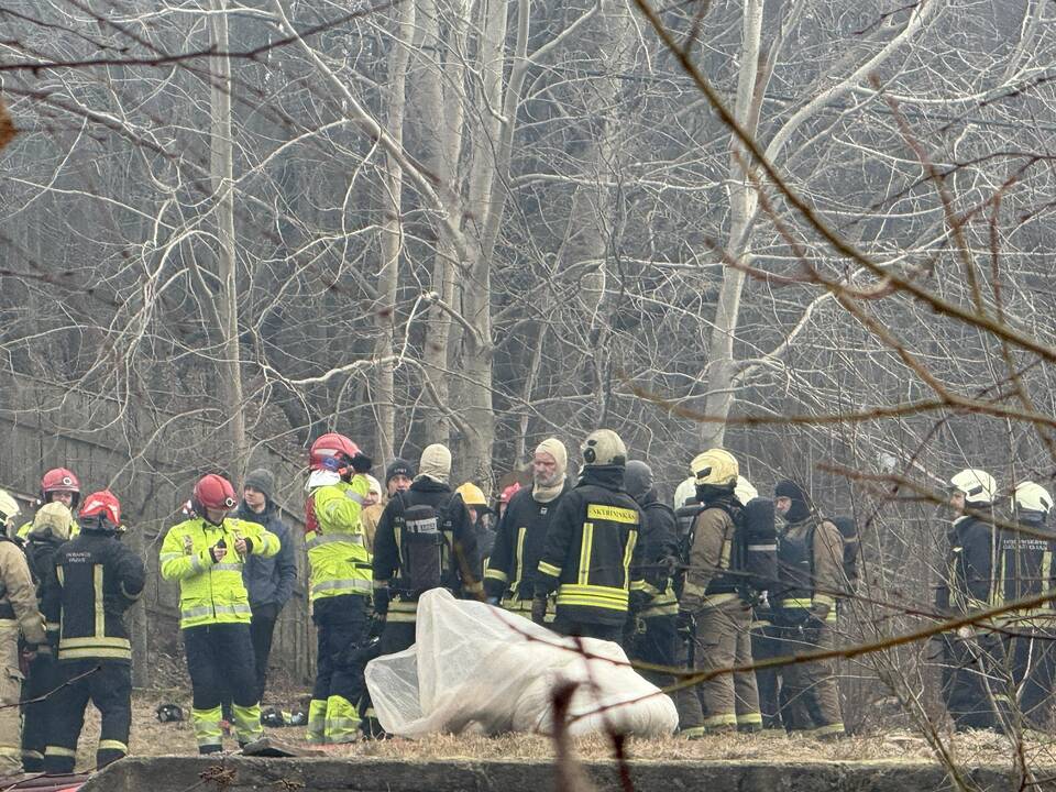 Klaipėdos rajone užsiliepsnojo medžio apdirbimo įmonė