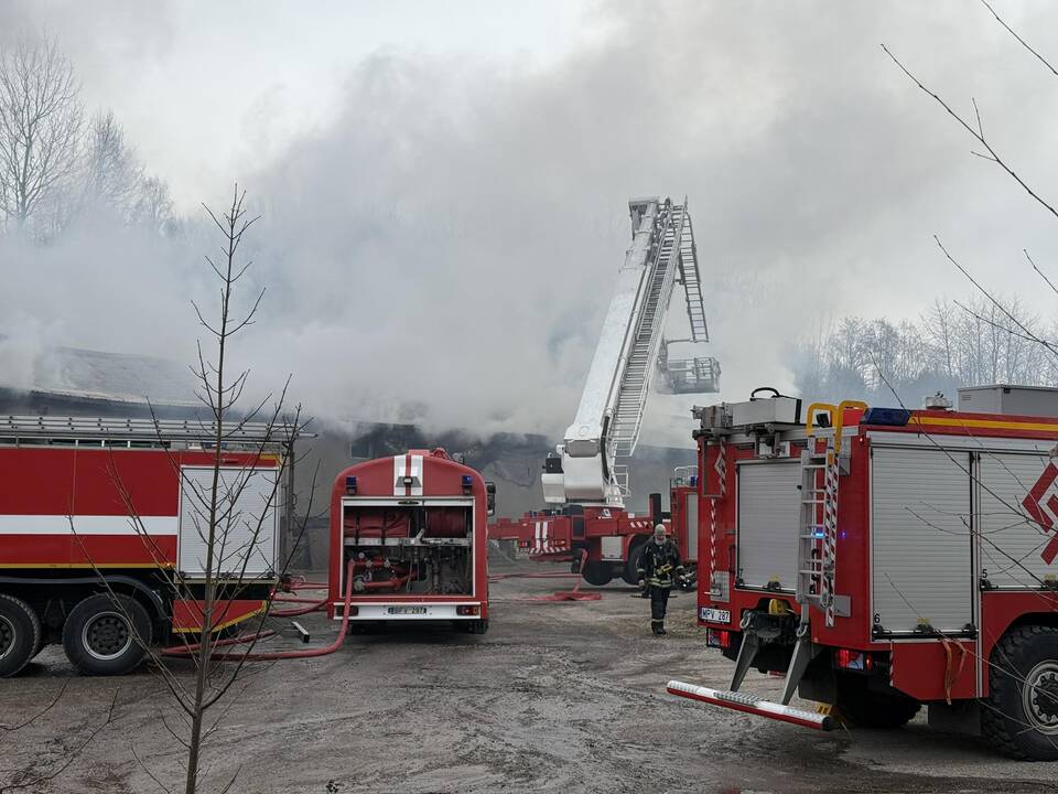 Klaipėdos rajone užsiliepsnojo medžio apdirbimo įmonė