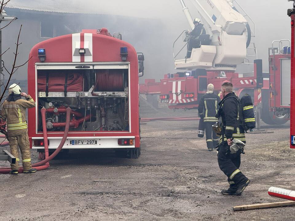 Klaipėdos rajone užsiliepsnojo medžio apdirbimo įmonė