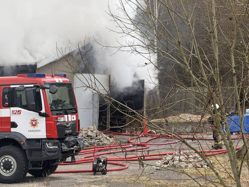 Klaipėdos rajone užsiliepsnojo medžio apdirbimo įmonė