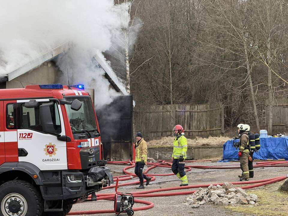 Klaipėdos rajone užsiliepsnojo medžio apdirbimo įmonė